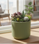 Planters