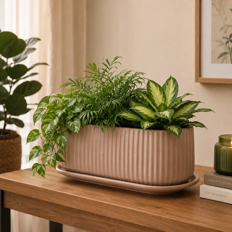 Elaris Ribbed Rectangular Planter with Drainage Tray - Peach
