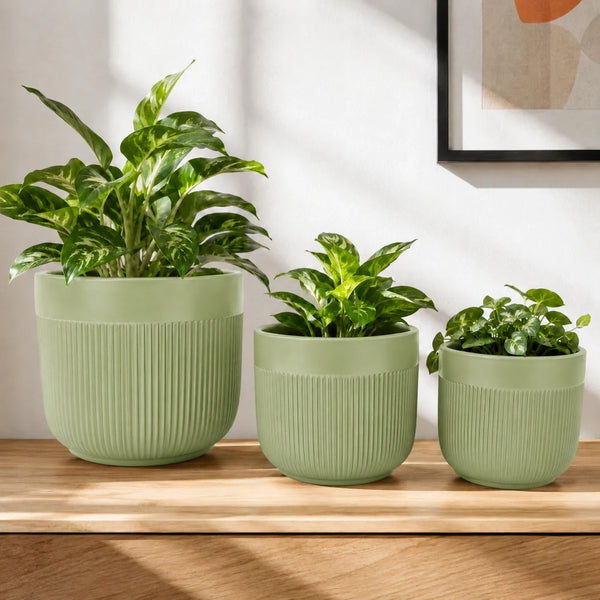 Elaris Ribbed Ceramic Planter Set - Serene Green, Set of 3