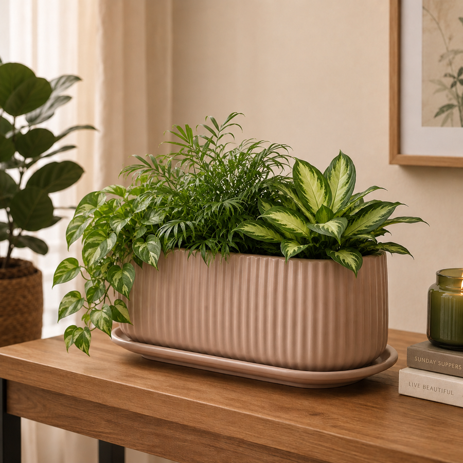 Elaris Ribbed Rectangular Planter with Drainage Tray - Peach