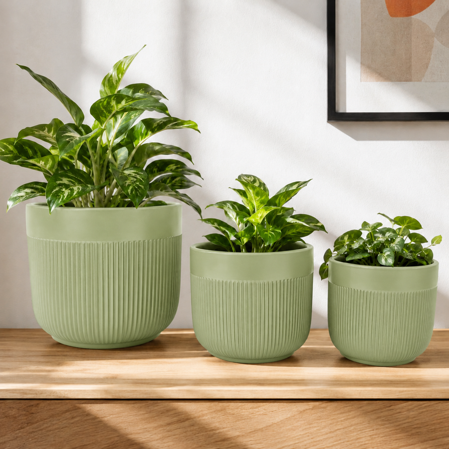 Elaris Ribbed Ceramic Planter Set - Serene Green, Set of 3