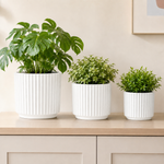 Elaris Ribbed Ceramic Planter Set - Graceful White, Set of 3
