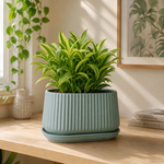 Elaris Ribbed Rectangular Planter with Drainage Tray - Green