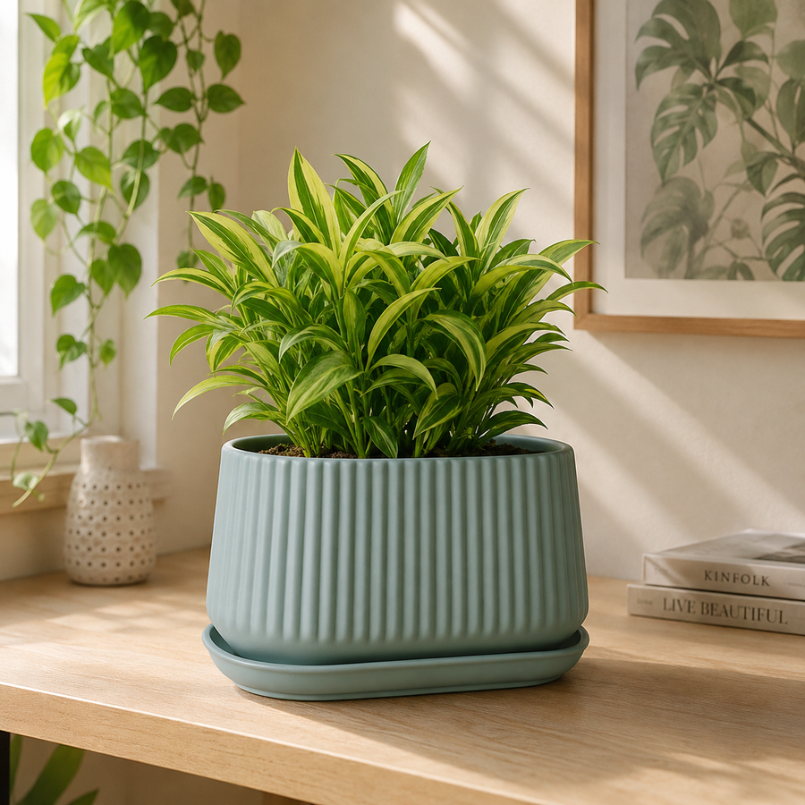 Elaris Ribbed Rectangular Planter with Drainage Tray - Green