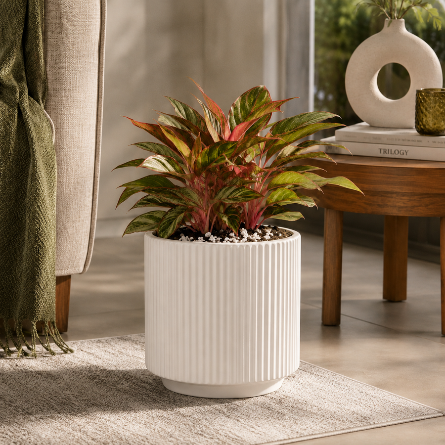 Elaris Ribbed Ceramic Planter - Elegant White, Single