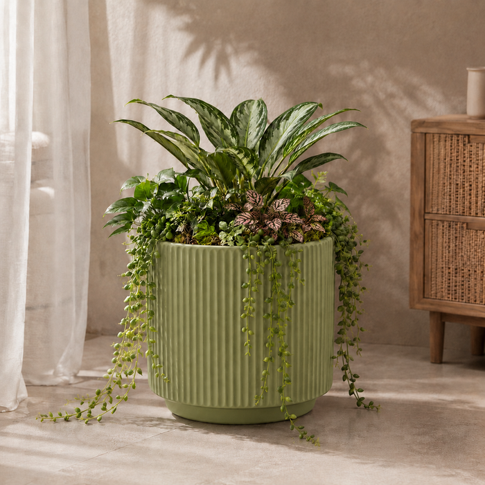 Elaris Ribbed Ceramic Planter - Sage Green, Single