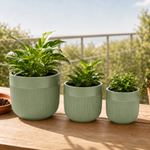 Elaris Ribbed Ceramic Planter Set - Serene Green, Set of 3