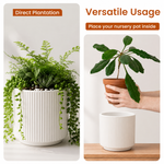 Elaris Ribbed Ceramic Planter - Elegant White, Single
