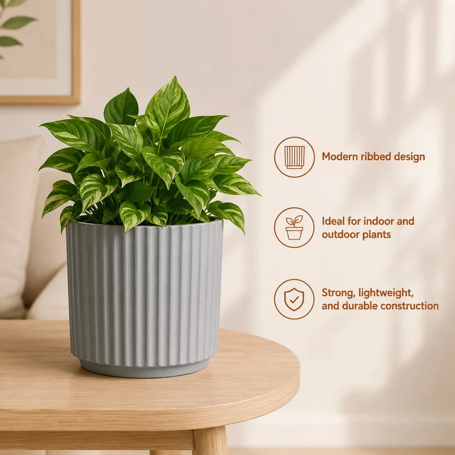 Elaris Ribbed Ceramic Planter Set - Timeless Grey, Set of 3