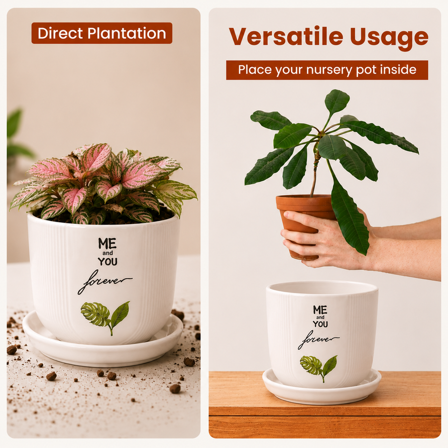Elaris Ceramic Planter with Drainage Tray - Printed White