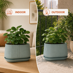 Elaris Ribbed Rectangular Planter with Drainage Tray - Green