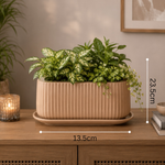 Elaris Ribbed Rectangular Planter with Drainage Tray - Peach