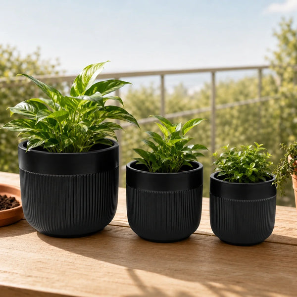 Elaris Ribbed Ceramic Planter Set - Contemporary Black