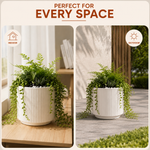 Elaris Ribbed Ceramic Planter - Elegant White, Single