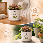 Elaris Ceramic Planter with Drainage Tray - Printed White