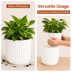 Elaris Ribbed Ceramic Planter Set - Graceful White, Set of 3