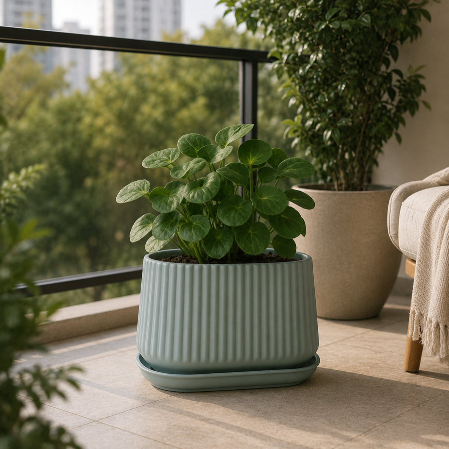 Elaris Ribbed Rectangular Planter with Drainage Tray - Green