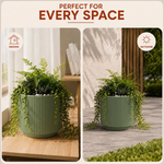 Elaris Ribbed Ceramic Planter - Sage Green, Single