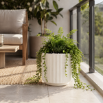 Elaris Ribbed Ceramic Planter - Elegant White, Single