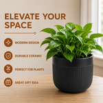 Elaris Ribbed Ceramic Planter Set - Contemporary Black