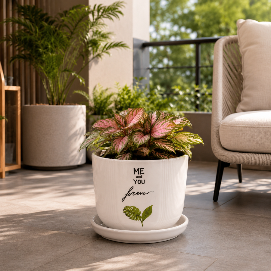 Elaris Ceramic Planter with Drainage Tray - Printed White