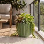 Elaris Ribbed Ceramic Planter - Sage Green, Single