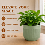 Elaris Ribbed Ceramic Planter Set - Serene Green, Set of 3