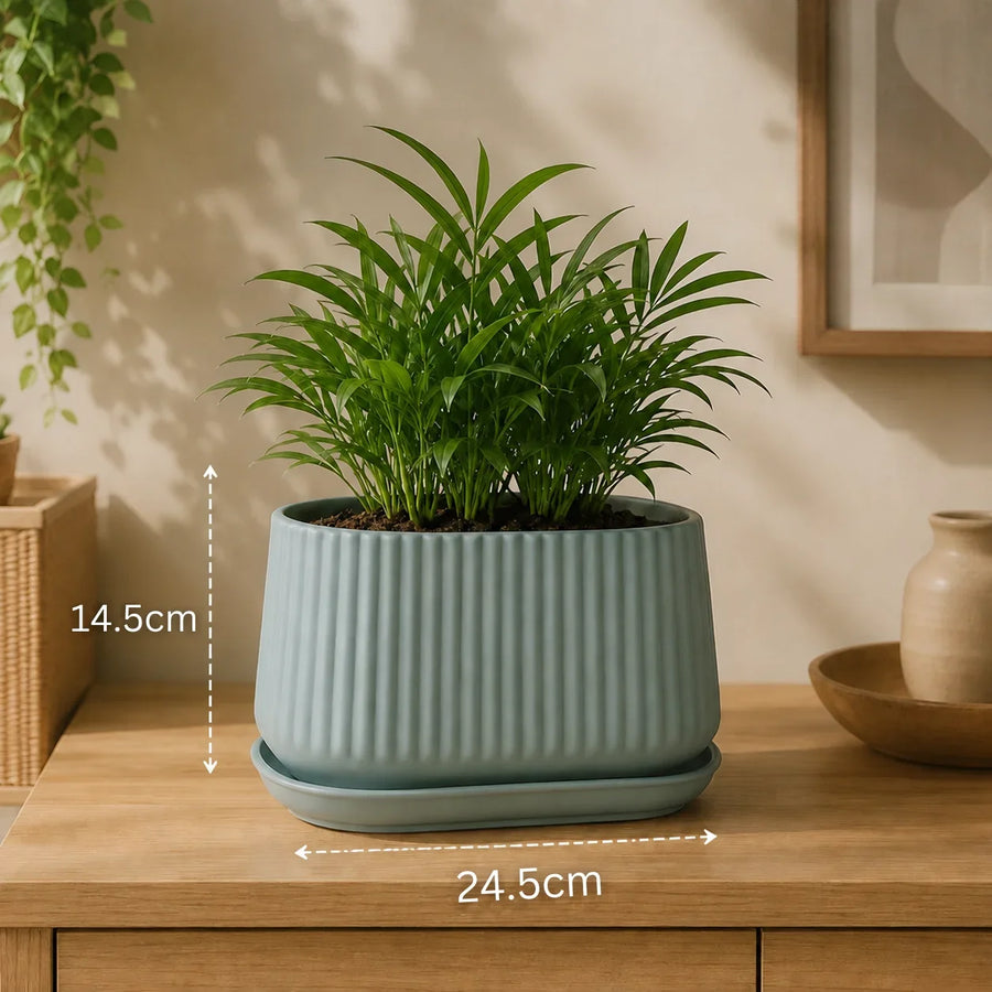 Elaris Ribbed Rectangular Planter with Drainage Tray - Grey