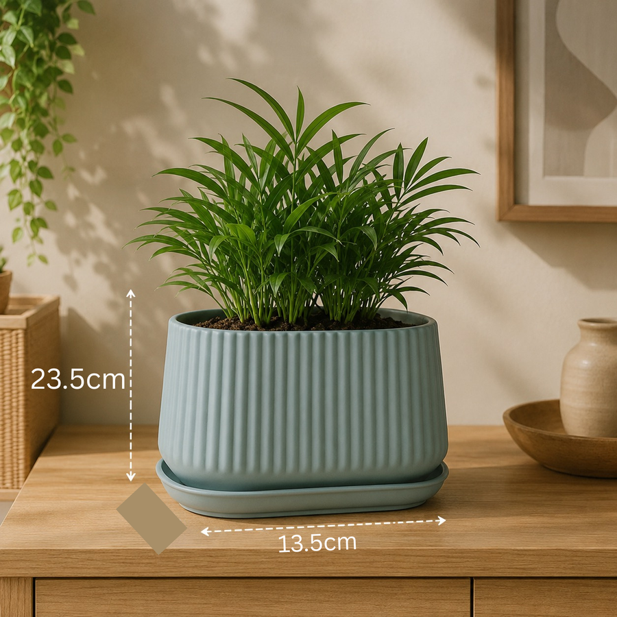 Elaris Ribbed Rectangular Planter with Drainage Tray - Green
