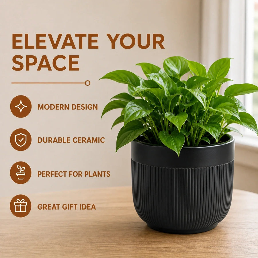 Elaris Ribbed Ceramic Planter Set - Contemporary Black