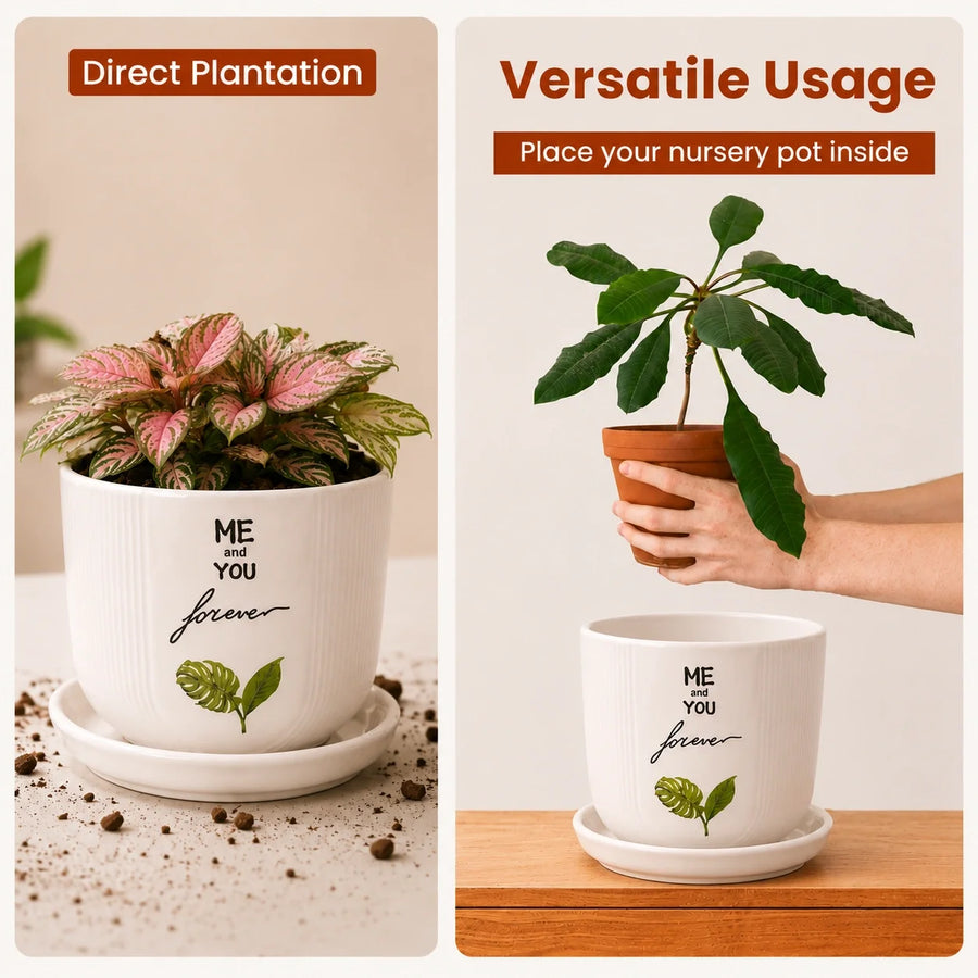 Elaris Ceramic Planter with Drainage Tray - Printed White