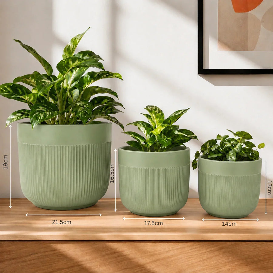 Elaris Ribbed Ceramic Planter Set - Serene Green, Set of 3
