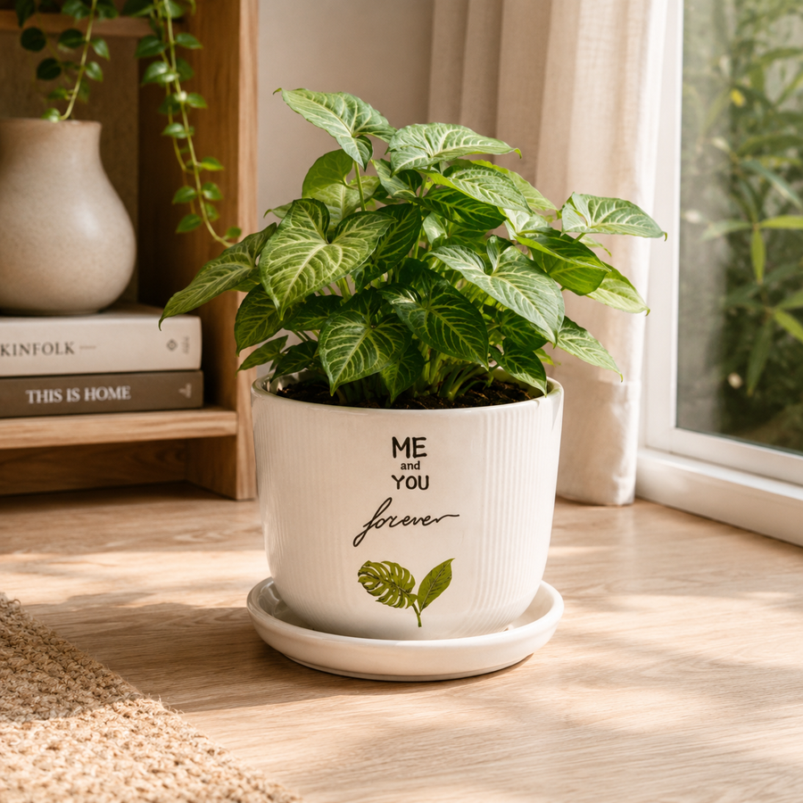 Elaris Ceramic Planter with Drainage Tray - Printed White