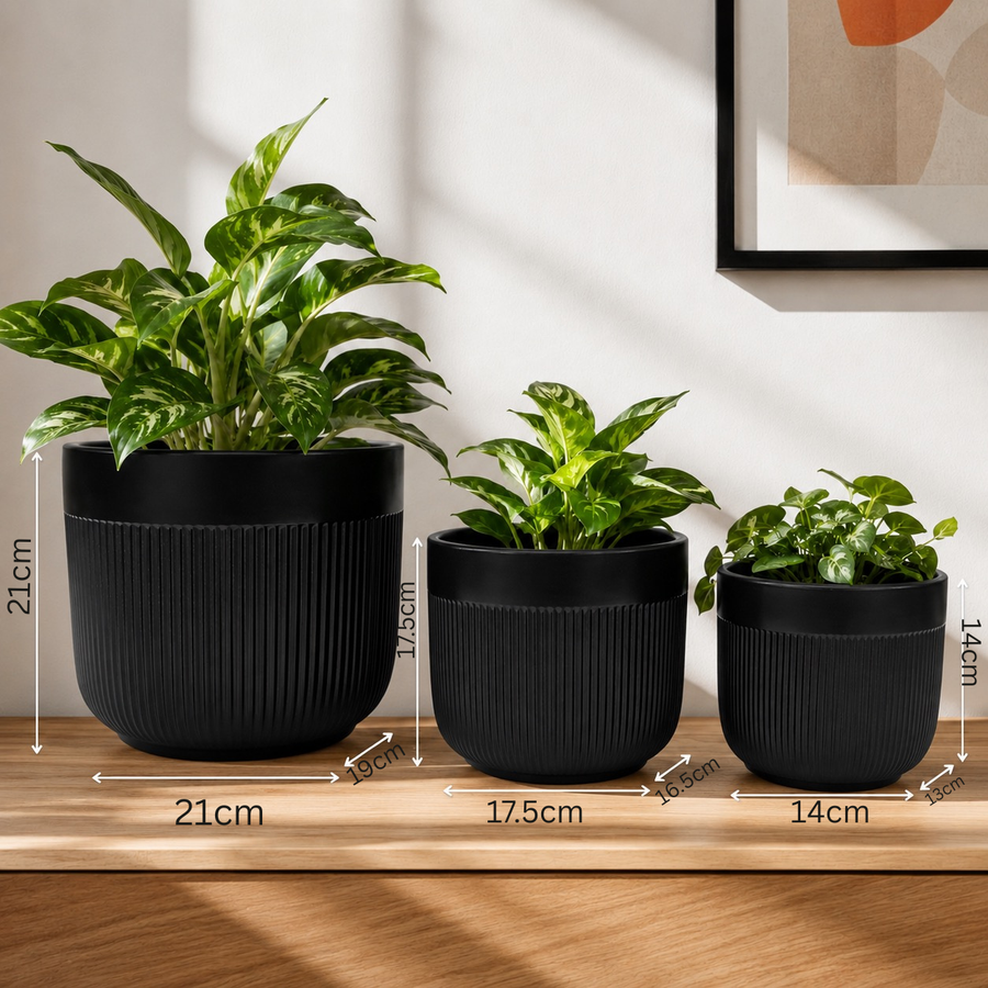 Elaris Ribbed Ceramic Planter Set - Contemporary Black