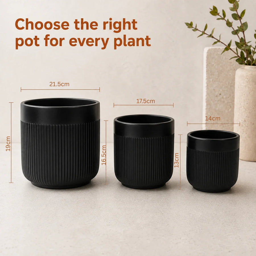 Elaris Ribbed Ceramic Planter Set - Contemporary Black