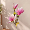 Pink-White