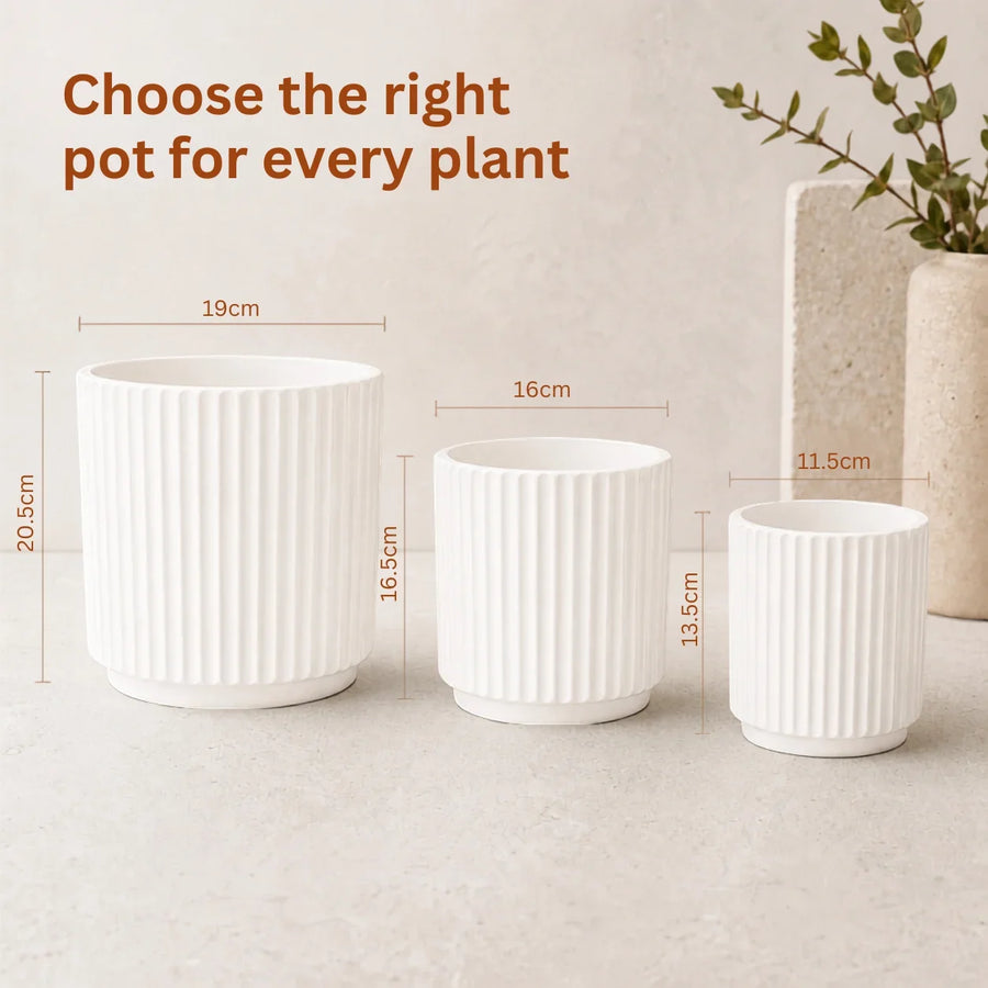 Elaris Ribbed Ceramic Planter Set - Graceful White, Set of 3