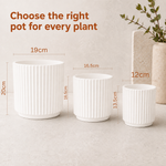 Elaris Ribbed Ceramic Planter Set - Graceful White, Set of 3
