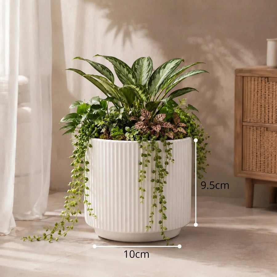 Elaris Ribbed Ceramic Planter - Elegant White, Single